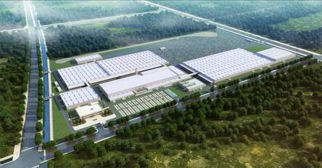 光束汽车 疫情阴霾下的行业之光